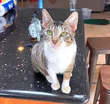 Photo of Kiva