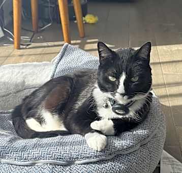 Photo of Lord Vader