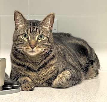 Photo of Mocca