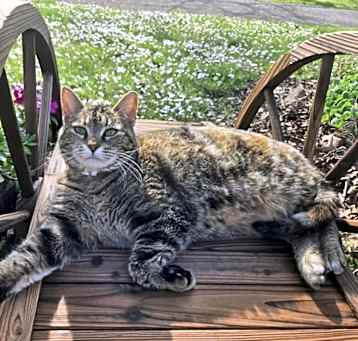Photo of Lily