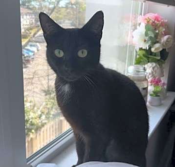 Photo of Lady Cora