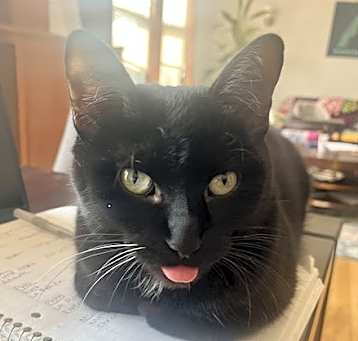 Photo of Obsidian
