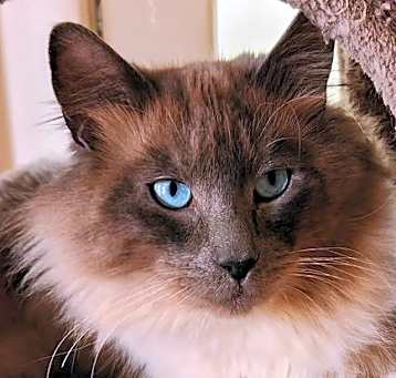 Photo of Jack