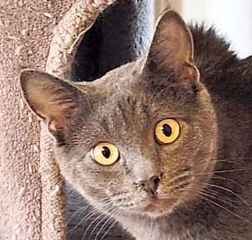 Photo of Jasper