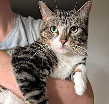 Photo of Rosalina (bonded to Daisy)