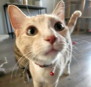 Photo of David