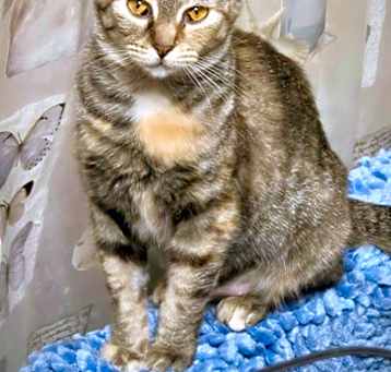 Photo of Stormy