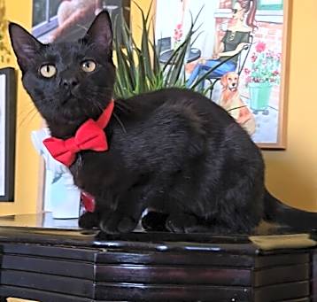 Photo of Lucius