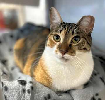 Photo of Ruby