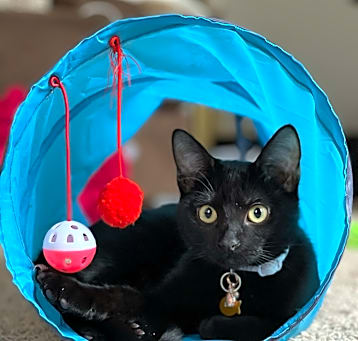 Photo of Luna Lu