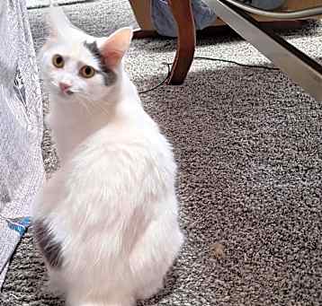 Photo of Baxter