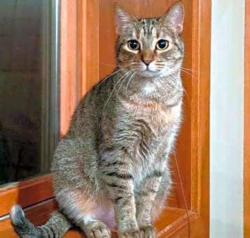 Photo of Holly