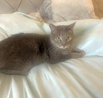 Photo of Smokey