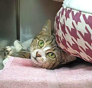 Photo of Zennie