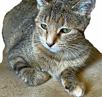 Photo of Libby