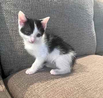 Photo of Evan