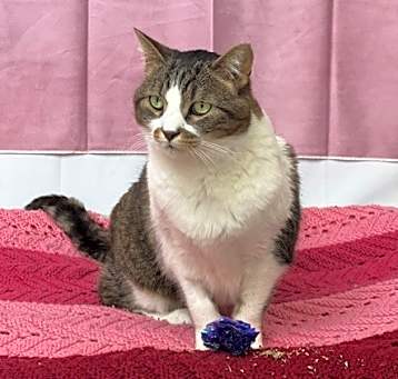 Photo of Millie