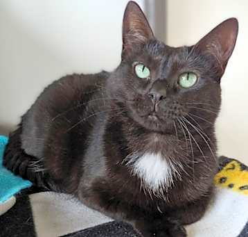 Photo of Tequila
