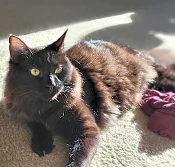 Photo of Edward