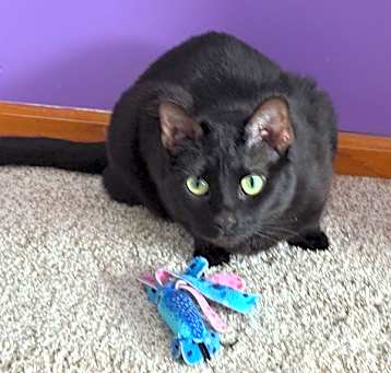 Photo of Emma