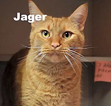 Photo of Jager 250257