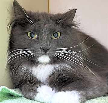 Photo of ZEPHYR