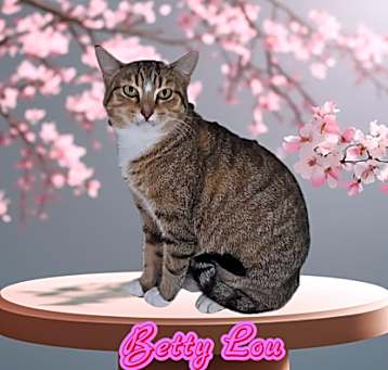 Photo of Betty Lou