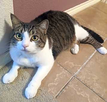 Photo of Gus