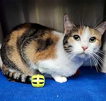 Photo of Thelma