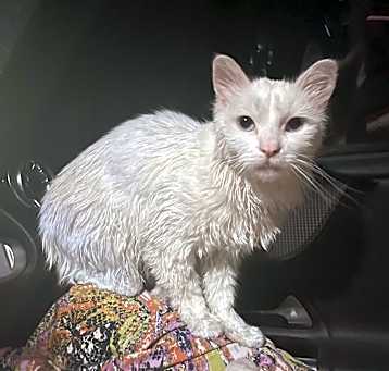 Photo of Cloudy