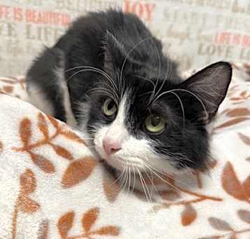 Photo of LUNA