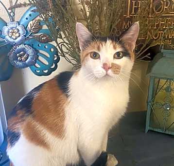 Photo of Milli