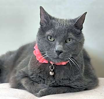 Photo of Mildred