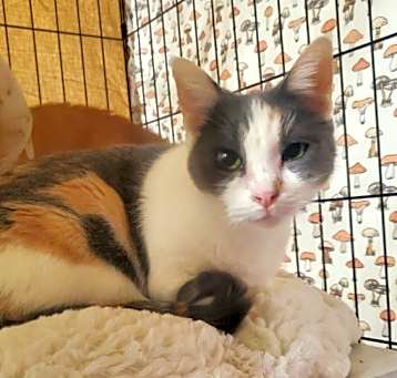 Photo of Minnie