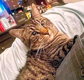 Photo of Jaxx