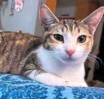 Photo of Noelle