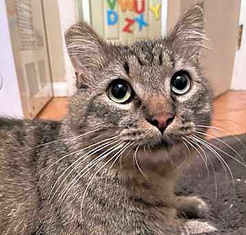 Photo of Morty