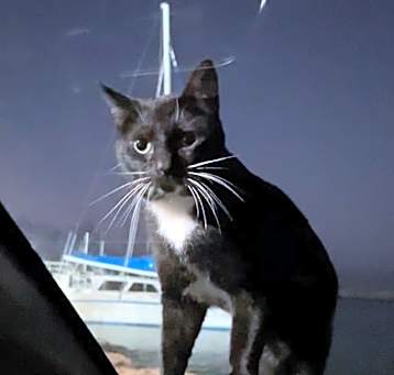 Photo of Baron