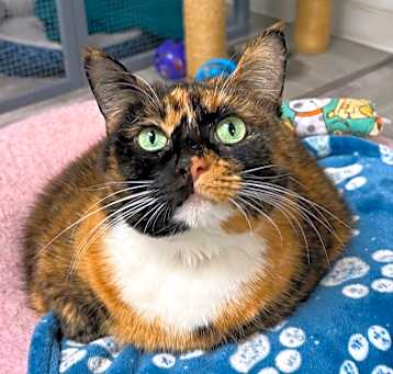Photo of Miss Pat