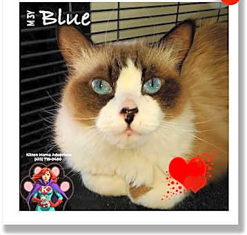 Photo of Blue