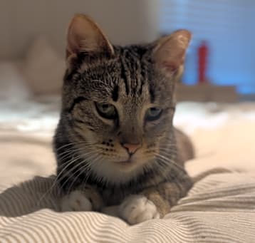 Photo of Asher