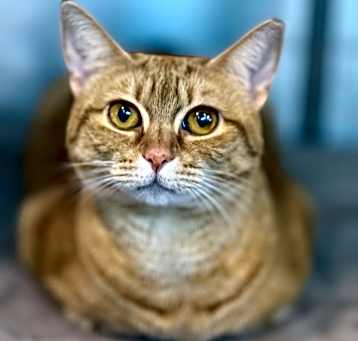 Photo of Mabel