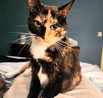 Photo of Coco