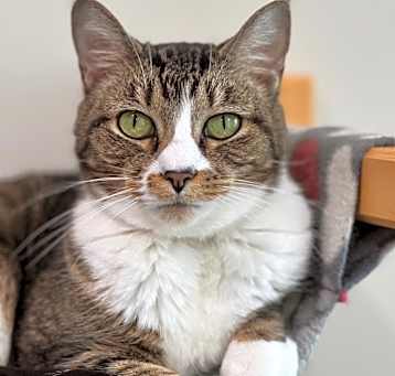 Photo of Boots
