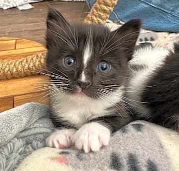 Photo of Jack