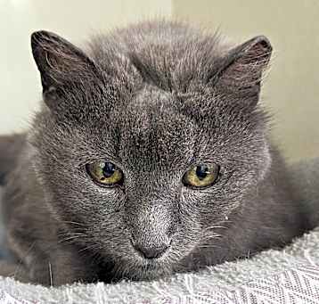 Photo of 25-021/ Storm