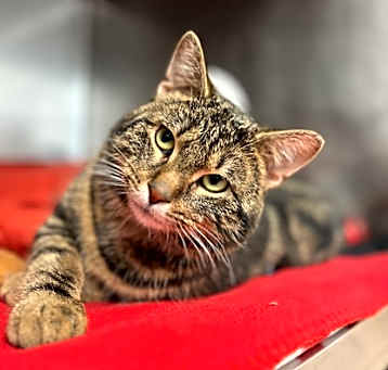 Photo of Oliver