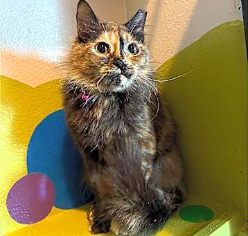 Photo of Sheila