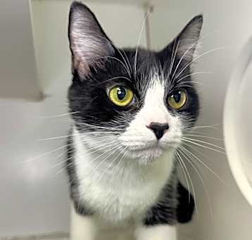 Photo of Storm
