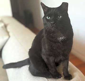 Photo of Moxie